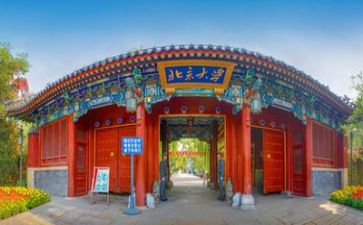 高校年终述职报告7篇