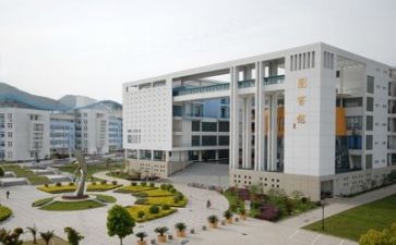 高校教师自查报告8篇