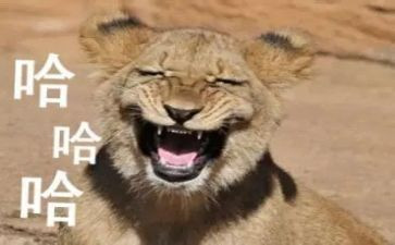 搞笑的人作文400字8篇
