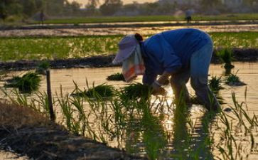 一分耕耘,一分收获演讲稿5篇