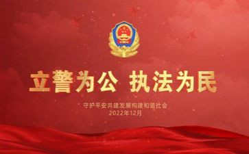 公安2024工作总结精选5篇