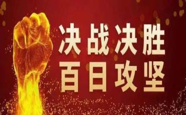 2024百日攻坚工作总结6篇