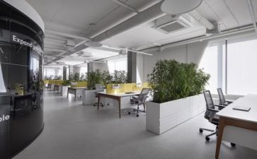 公司计划方案范文6篇