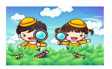 《观察》作文7篇