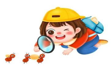 观察乌龟蛋的作文精选5篇