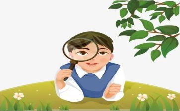 观察日记作文500字8篇