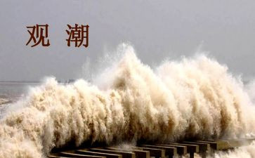 观潮教案教学反思精选6篇