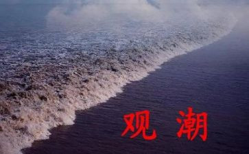 观潮小学语文面试教案7篇