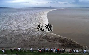 观潮教案教学反思最新5篇