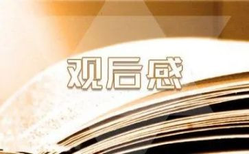 校园安全观后感推荐7篇