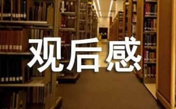 正青春观后感800字6篇