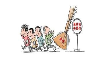 挂职心得模板8篇