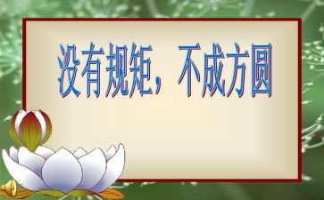 严纪律和规矩心得体会精选8篇