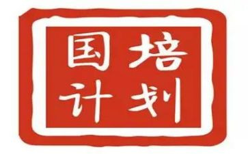 教师国培计划培训计划8篇