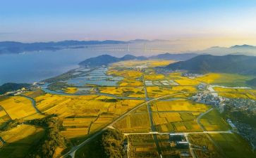 2024国土所工作总结6篇