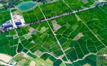 国土述廉述职报告7篇