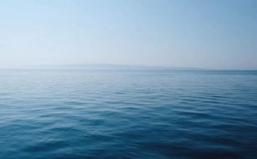 海苔促销活动方案策划模板6篇