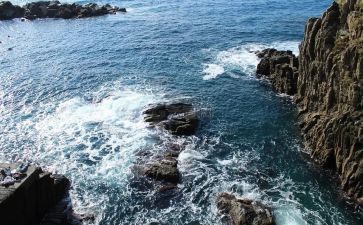 观看红海行动心得体会8篇