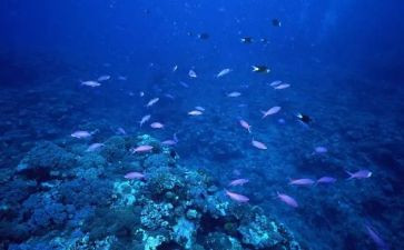 海底捞读后感心得5篇
