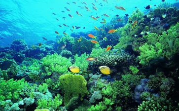 海底两万里读后感600字6篇