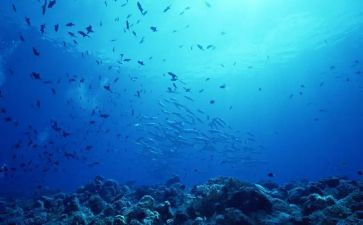 海底两万里600字读后感模板5篇