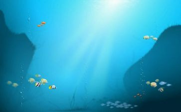作文海底两万里读后感通用8篇