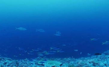 读海底两万里心得体会推荐7篇