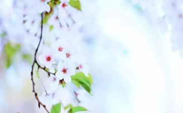 哈姆雷特读后感范文600字6篇