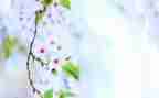 哈姆雷特读后感范文600字6篇