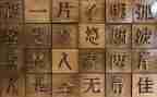 汉字瓜的教案8篇