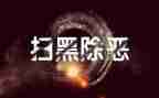 公安黑恶工作总结精选6篇