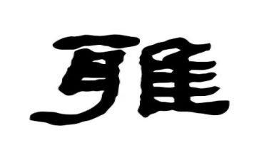 和雅少年演讲稿推荐5篇
