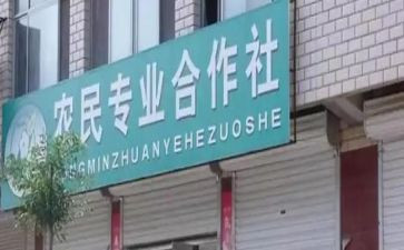 镇合作社调研报告8篇