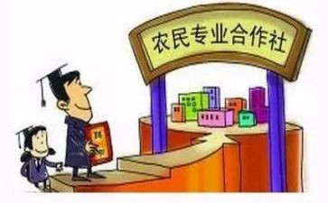 2024年供销合作社工作总结5篇