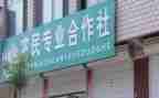 镇合作社调研报告8篇