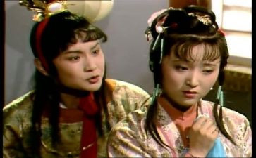 红楼春趣的写读后感7篇