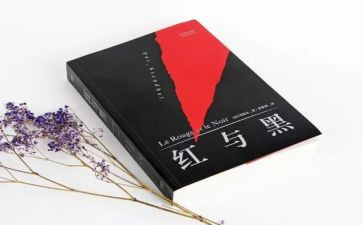 《红与黑》读后感优质5篇