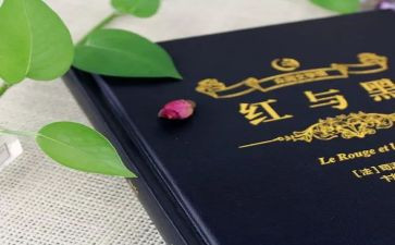 《红与黑》读后感7篇
