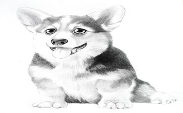 幼儿园《画》教案及反思精选8篇