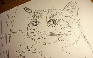 一年级上册《画》教案最新8篇