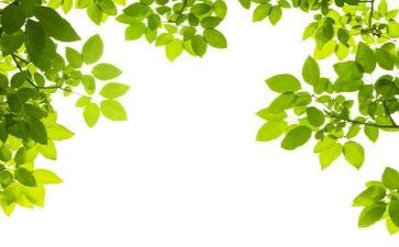 环保所工作计划通用6篇