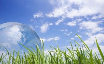 2024环保年度个人总结8篇