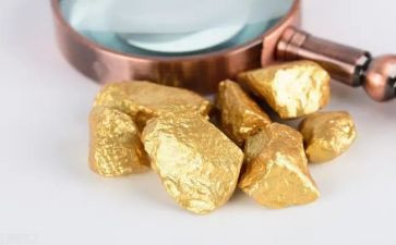 黄金葛读后感8篇