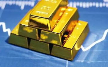 脑黄金读后感5篇