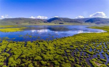 环境的教案模板8篇