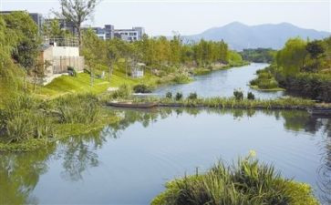 环境作文模板7篇