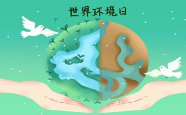 幼儿园环境日活动方案5篇
