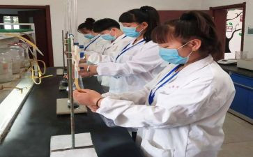 化验工作个人总结5篇