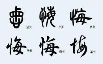 无悔为医演讲稿模板5篇