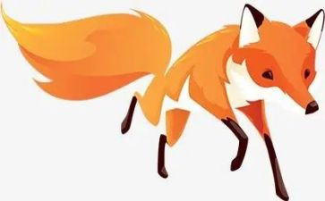 狐狸与我观后感7篇